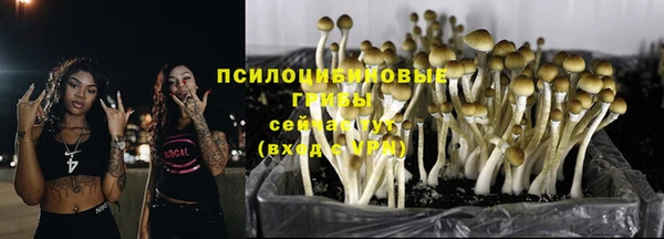 кокаин премиум Козловка