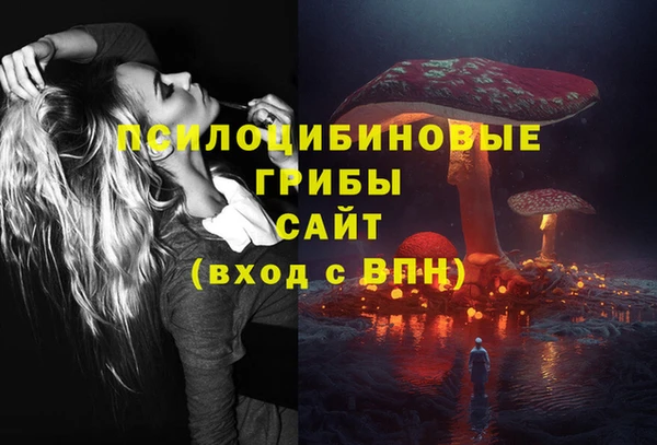 Альфа ПВП Козельск