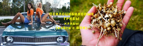 кокаин премиум Козловка