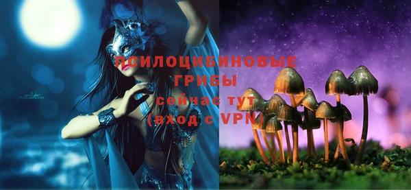 Альфа ПВП Козельск