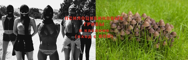 Альфа ПВП Козельск