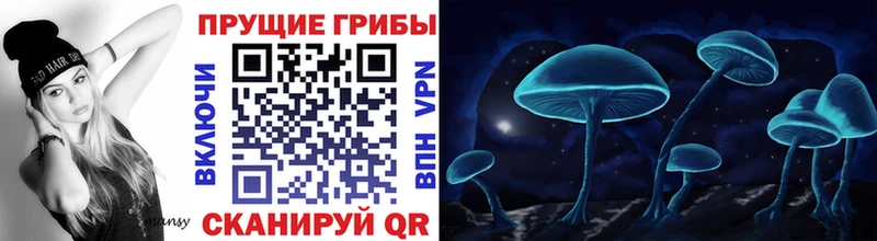 Галлюциногенные грибы Cubensis Купить где Багратионовск