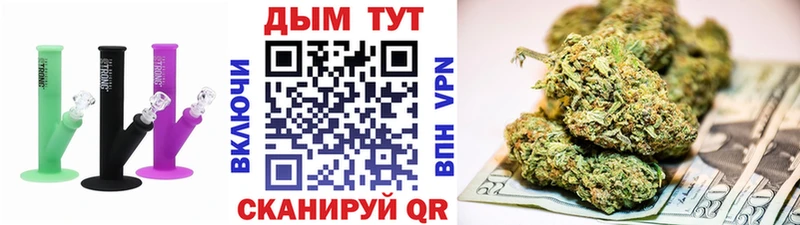 Бошки Шишки ГИДРОПОН  Купить где  Багратионовск 